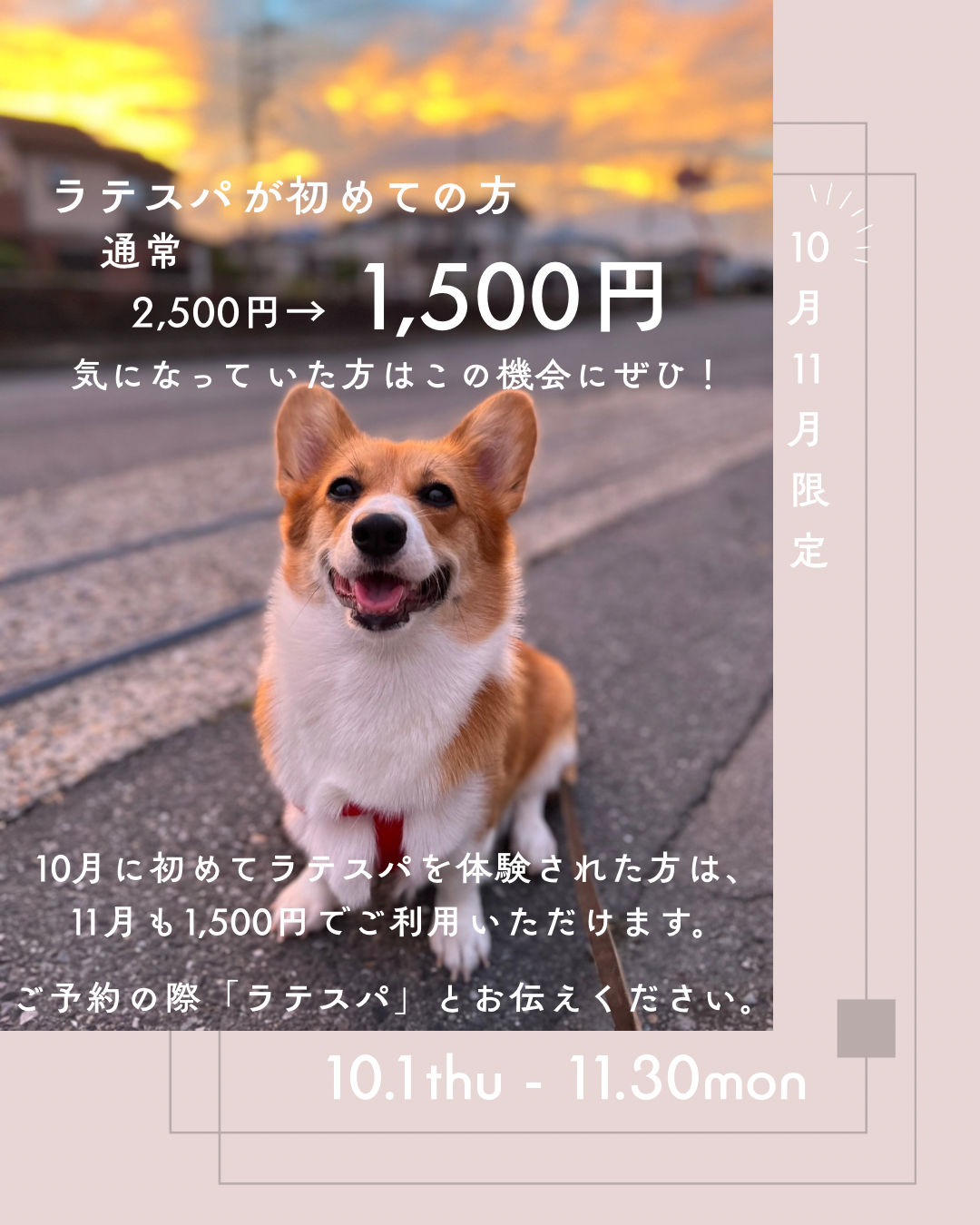 ラテスパ