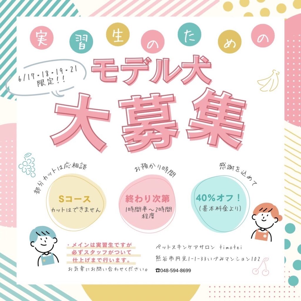 📢【モデル犬募集のお知らせ】