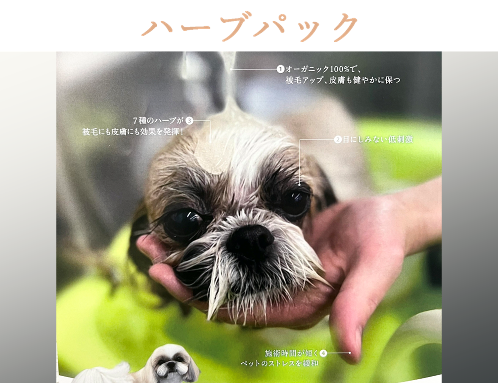 ラテスパ