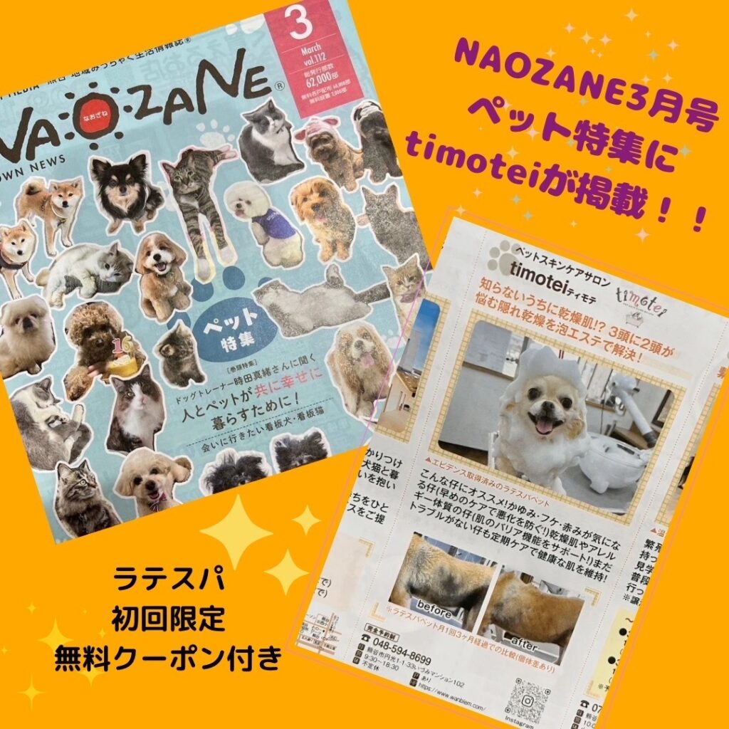 NAOZANE掲載キャンペーン！
