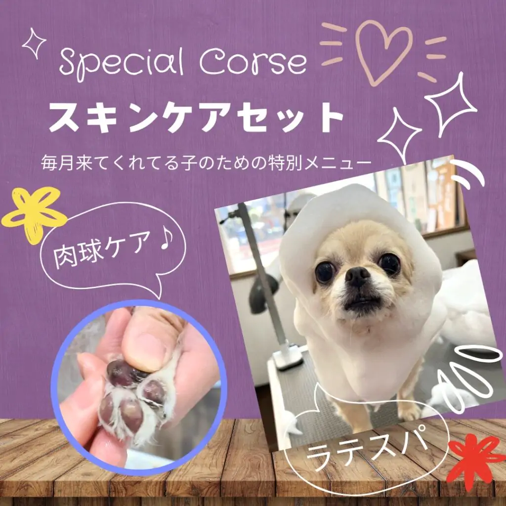 timoteiスペシャルユーザー様限定！