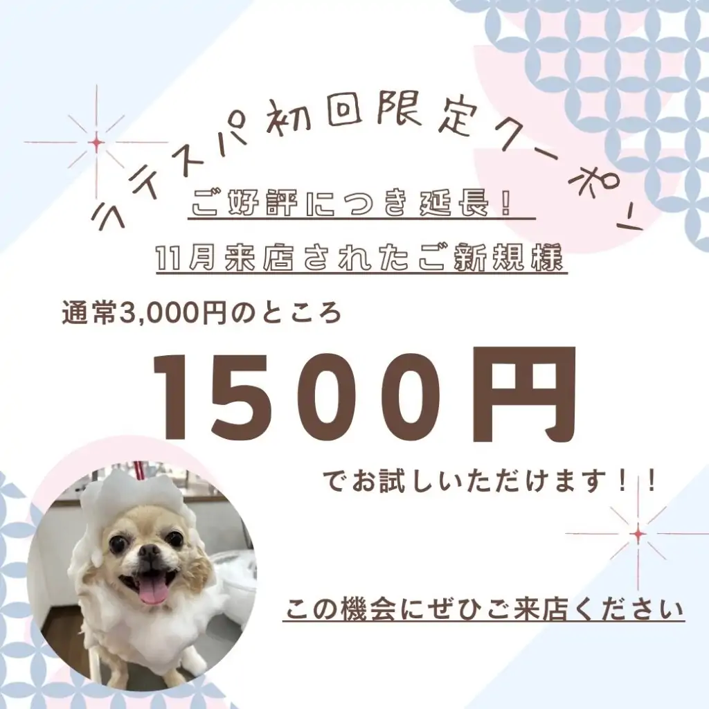 ラテスパ初回限定クーポン￥3,000⇒￥1,500
